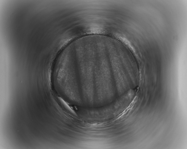 X0000093490154200711020958