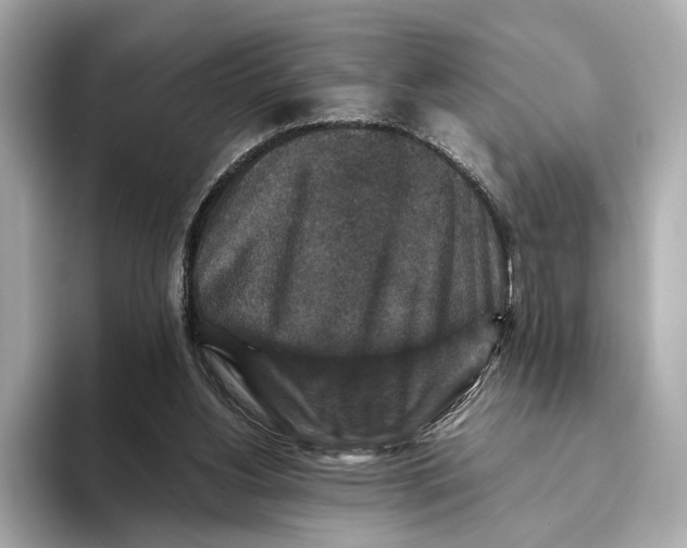 X0000093490156200711020958