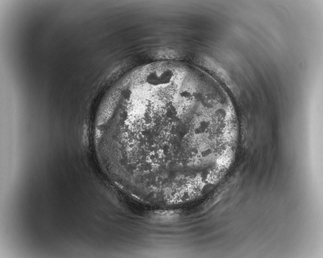 X0000093490161200711020958