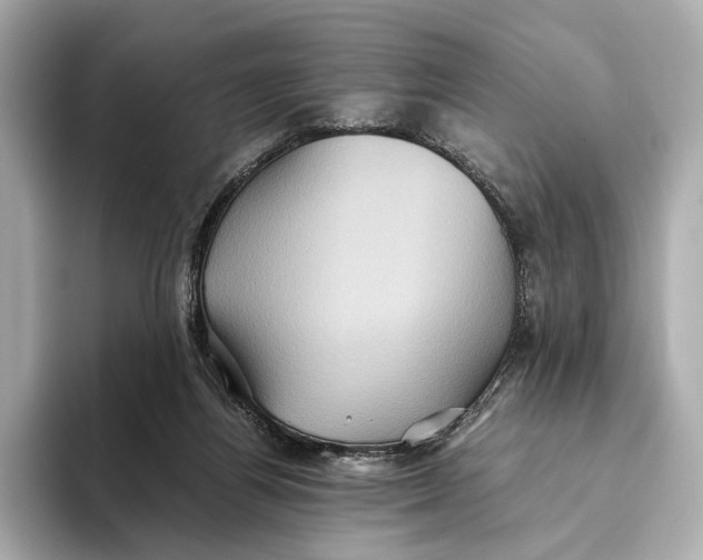 X0000093490164200711020958