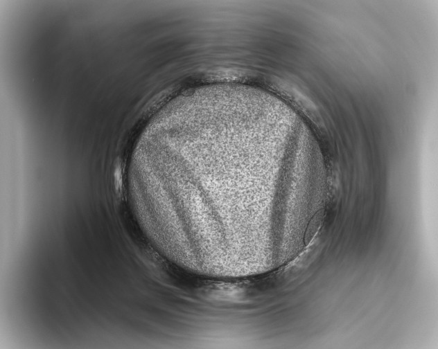 X0000093490166200711020958