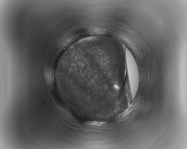 X0000093490168200711020958