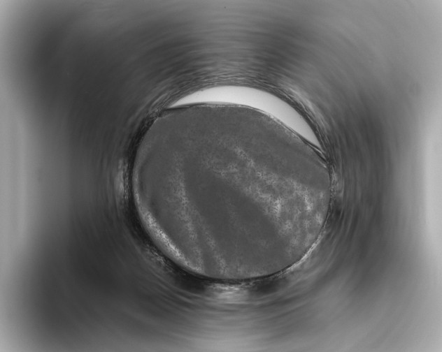 X0000093490170200711020958