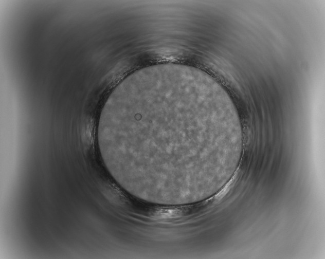 X0000093490174200711020958