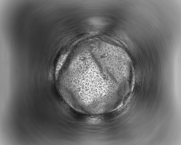 X0000093490175200711020958