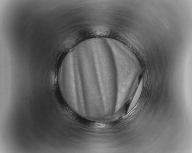 X0000093490176200711020958