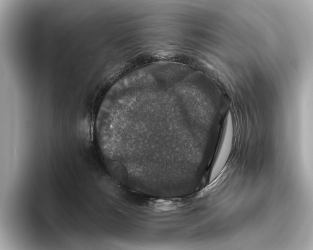 X0000093490180200711020958