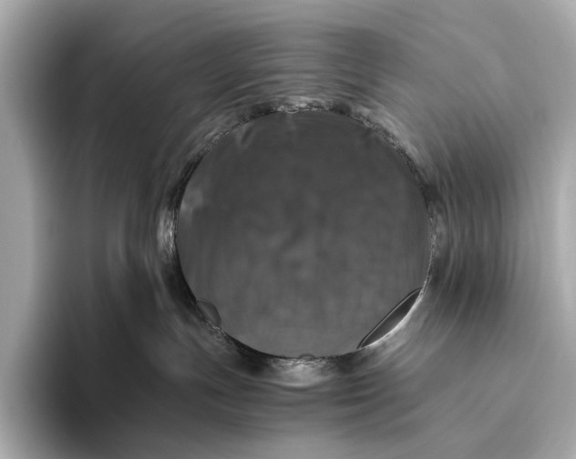 X0000093490191200711020958