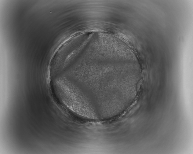 X0000093490194200711020958