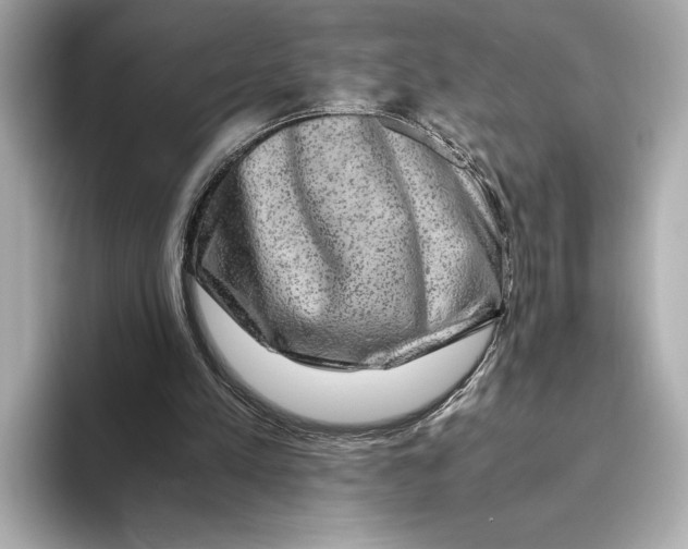 X0000093490197200711020958