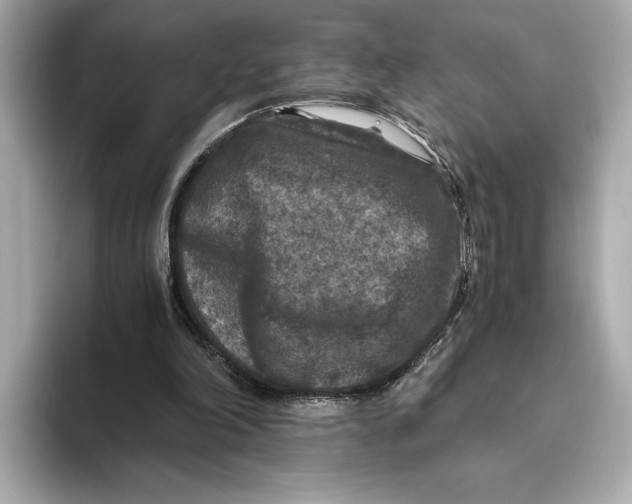 X0000093490198200711020958