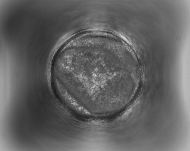 X0000093490199200711020958