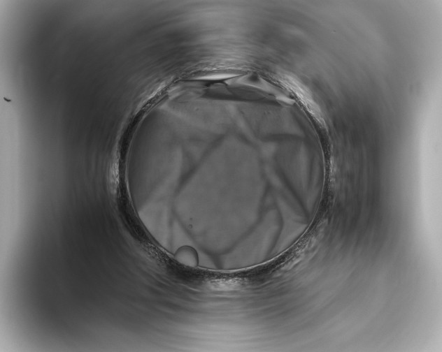 X0000093490202200711020958