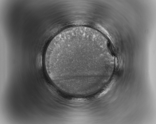 X0000093490205200711020958