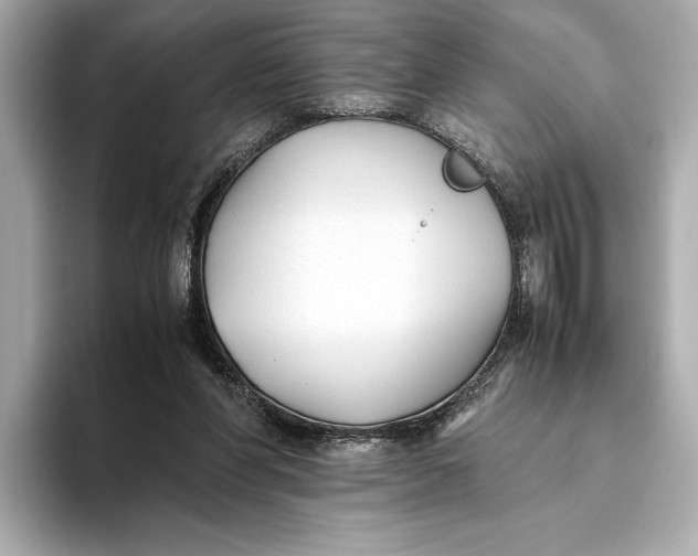 X0000093490206200711020958