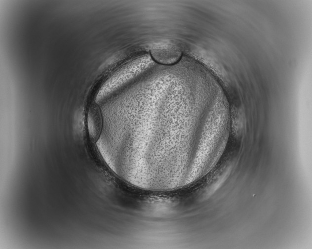 X0000093490207200711020958