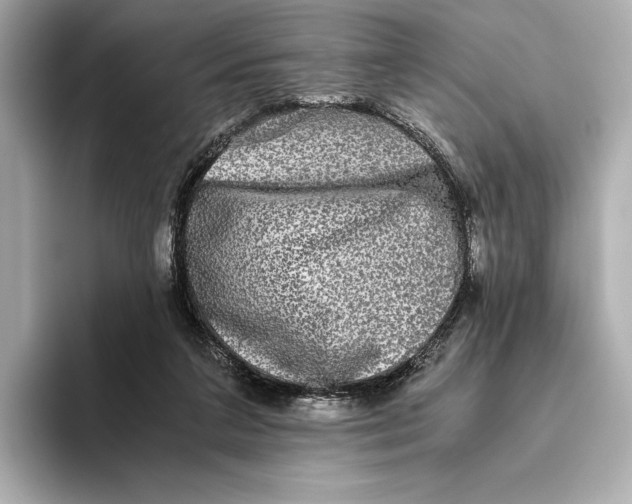 X0000093490211200711020957