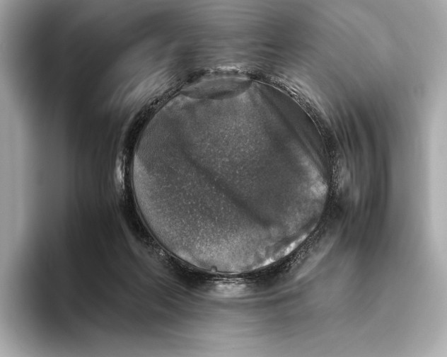 X0000093490214200711020957