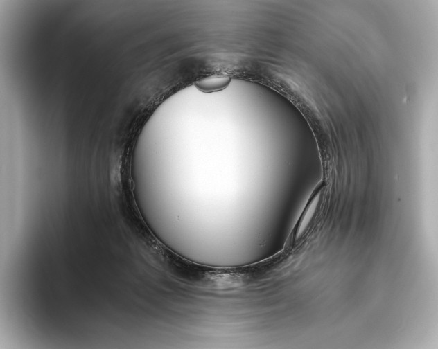 X0000093490221200711020957