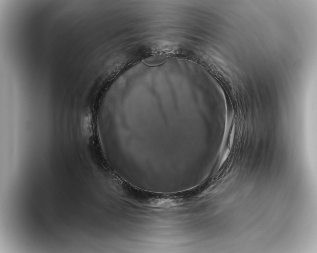 X0000093490224200711020957