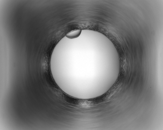 X0000093490226200711020957