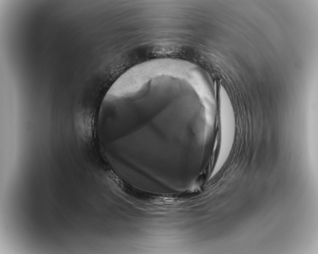 X0000093490227200711020957