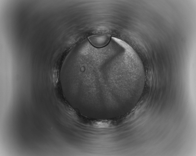 X0000093490232200711020957