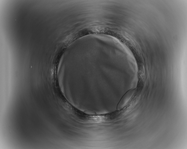 X0000093490233200711020957