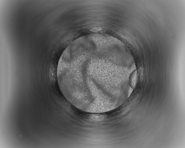 X0000093490234200711020957