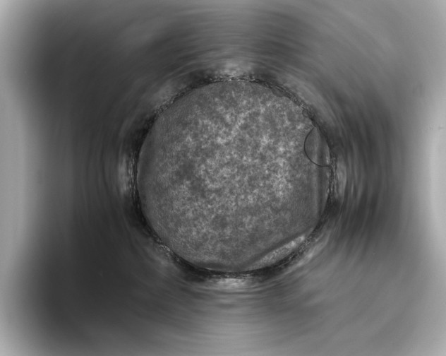 X0000093490236200711020957