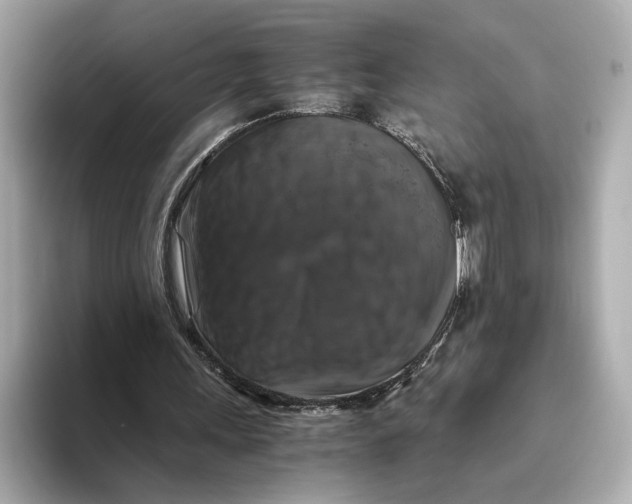 X0000093490243200711020957