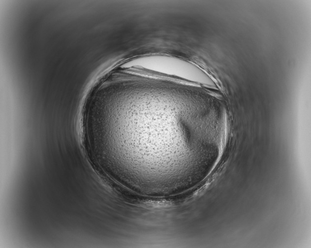 X0000093490245200711020957