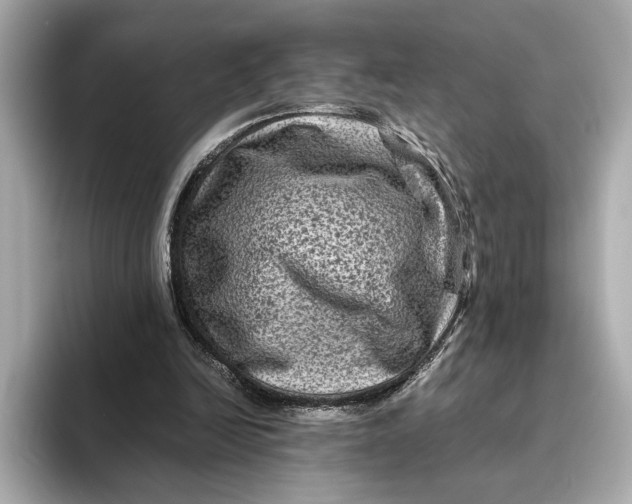 X0000093490246200711020957