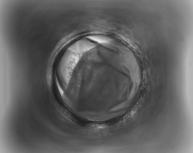 X0000093490247200711020957