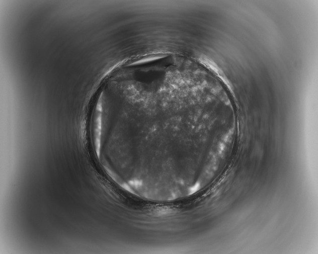 X0000093490249200711020957