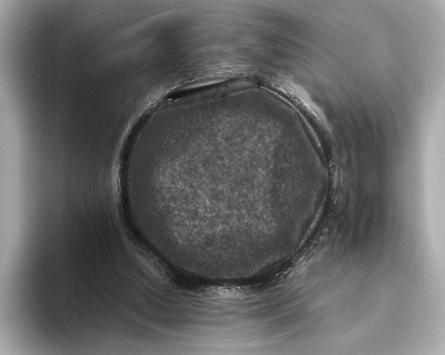 X0000093490250200711020957