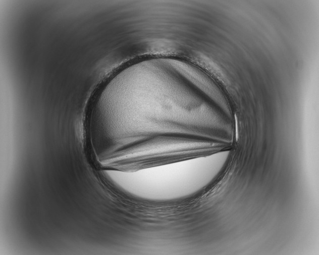 X0000093490252200711020957