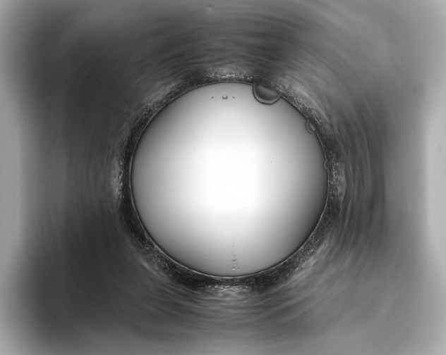 X0000093490255200711020957