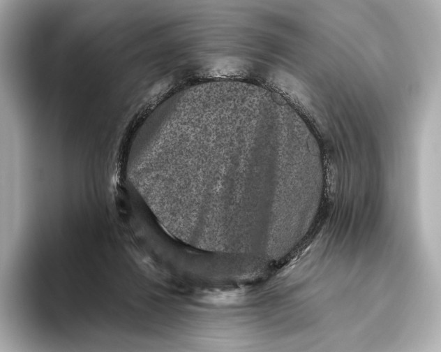 X0000093490260200711020957