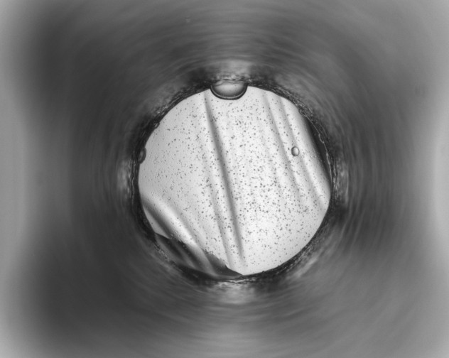 X0000093490280200711020957