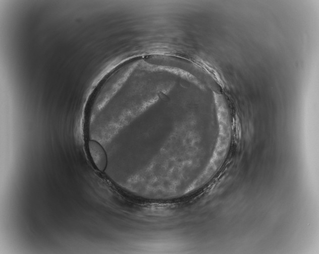 X0000093490292200711020957