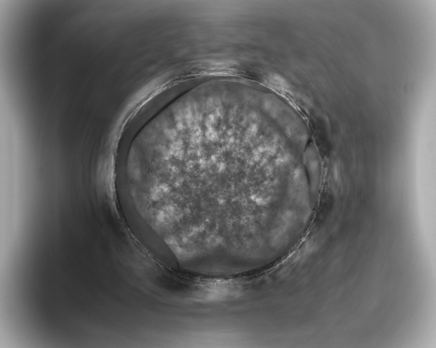 X0000093490293200711020957