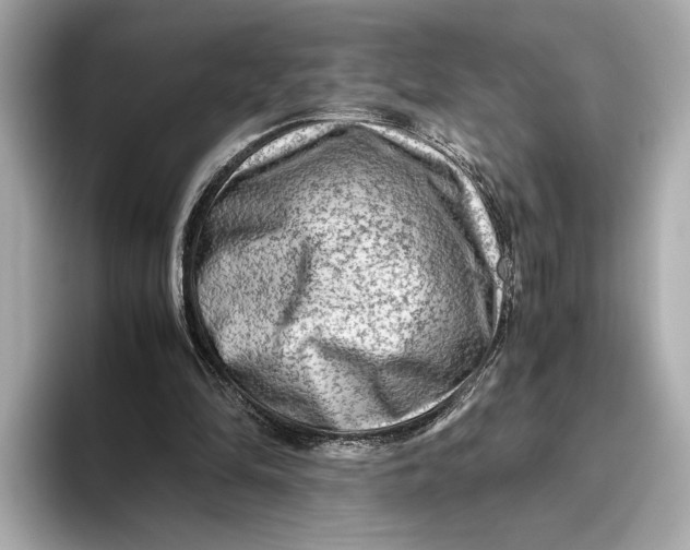 X0000093490294200711020957