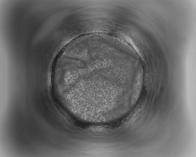 X0000093490299200711020956