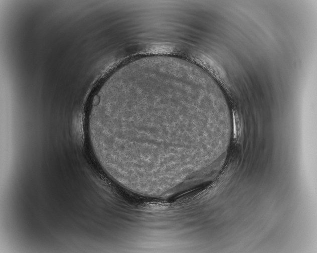 X0000093490300200711020956