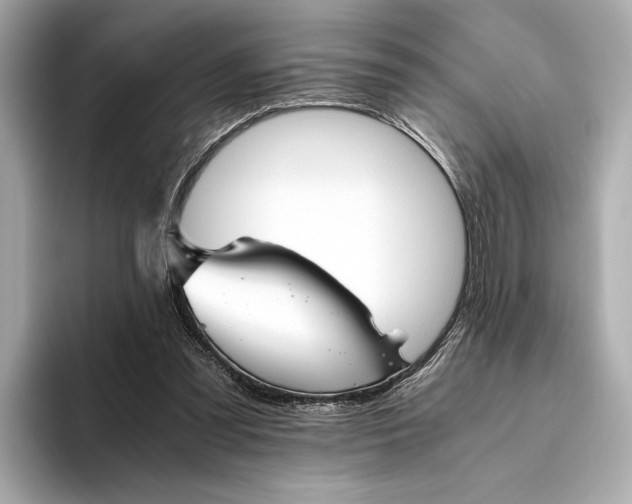 X0000093490301200711020956