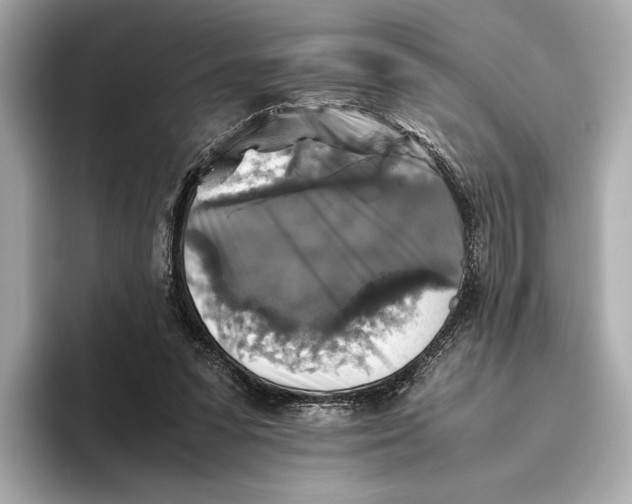 X0000093490303200711020956