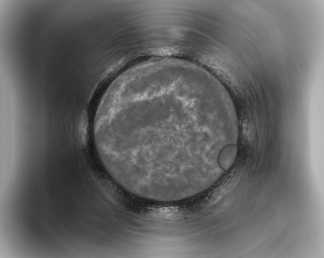 X0000093490304200711020956