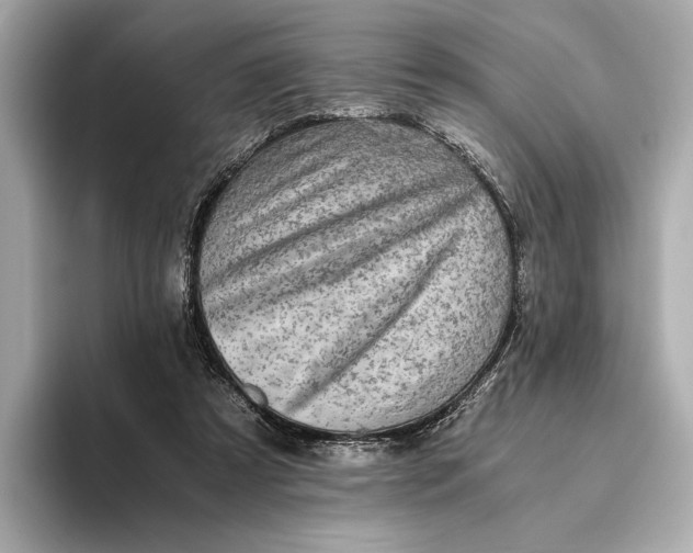 X0000093490305200711020956