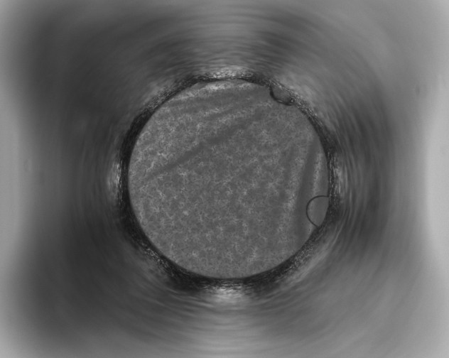 X0000093490308200711020956